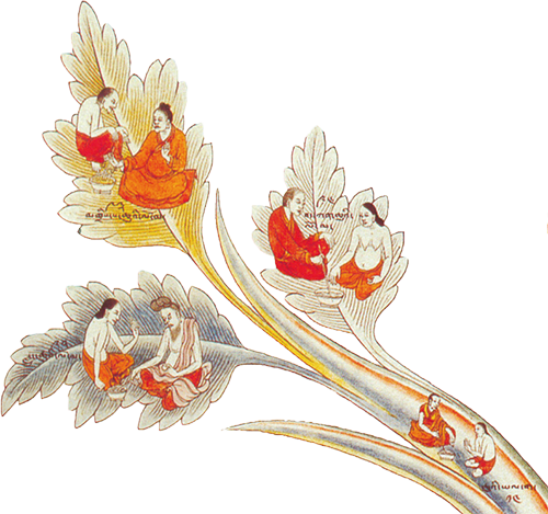    རྩ་རྒྱུད་སྡོང་འགྲེམས།