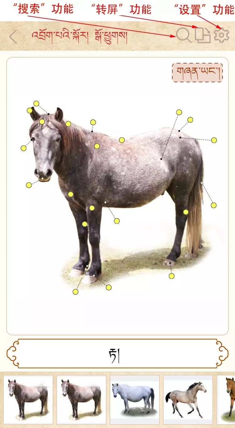 བོད་ཀྱི་སྲོལ་རྒྱུན་ཐ་སྙད་རིས་འགྲེལ་མིང་མཛོད།