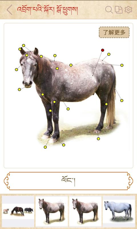 བོད་ཀྱི་སྲོལ་རྒྱུན་ཐ་སྙད་རིས་འགྲེལ་མིང་མཛོད་མཉེན་ཆས། 