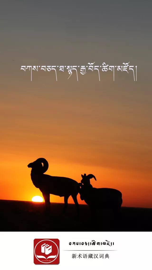    བཀས་བཅད་ཐ་སྙད་ཀྱི་རྒྱ་བོད་གློག་རྡུལ་ཚིག་མཛོད། 